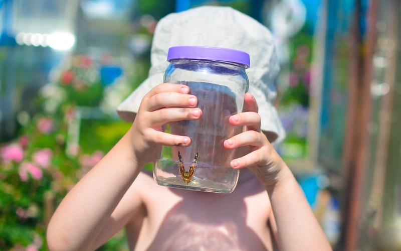 A child holding a butterfly in a jar, exploring the outdoors - Romp n' Roll.