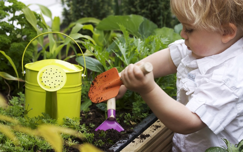 Learn how to keep kids safe outside this summer with Romp n' Roll.